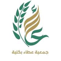 شركة الشياكة