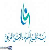 هيئة تنظيم الكهرباء والإنتاج المزدوج