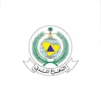 وظائف المديرية العامة للدفاع المدني